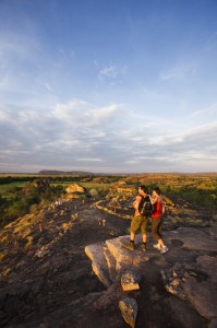 Kakadu-