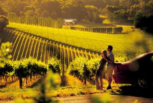 Winery-Views-Barossa-Valley-SA-300-x-202